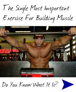 Build Muscle